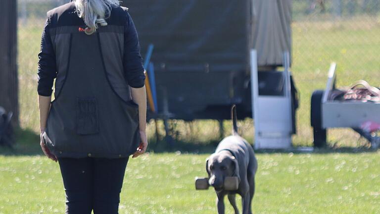 Sigrid Sieber und ihr Hund Sunny beim Ablegen der Begleithundeprüfung 2 (IGBH-2). Sigrid Sieber und ihr Hund Sunny beim Ablegen der Begleithundeprüfung 2 (IGBH-2).