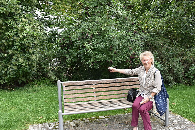 'Ich streue nicht einfach irgendwo etwas hin', sagt Maria Wollinger, die auf ein Gebüsch zeigt, unter das sie ein paar Haferflocken und eine Handvoll Sonnenblumenkerne legt. Doch Vogelfüttern außerhalb von Vogelhäuschen ist in Schweinfurt verboten, weil nicht sichergestellt ist, dass nicht auch verwilderte Tauben davon profitieren.&nbsp;