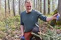 Waldbegang des Gemündener Stadtrates: An rund 50 Weißtannen hat ein Unbekannter Triebspitzen abgeschnitten. Jetzt werden die Bestände mit Wildkameras überwacht.