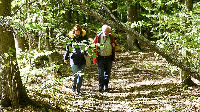 Redakteurin Claudia Kneifel war mit dem Pilzexperten Rudi Markones im Irtenberger Wald bei Kist auf der Suche nach den ersten Pilzen. Redakteurin Claudia Kneifel war mit dem Pilzexperten Rudi Markones im Irtenberger Wald bei Kist auf der Suche nach den ersten Pilzen.