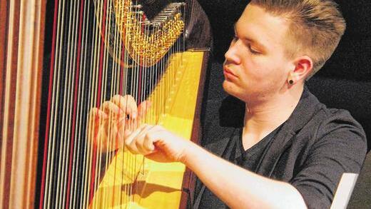 Musikalische Talente: Über 40 junge Musiker hatten ihren Auftritt beim Kammerkonzert des Gymnasiums Veitshöchheim. Nico Rosenberger beim Harfenspiel. Musikalische Talente: Über 40 junge Musiker hatten ihren Auftritt beim Kammerkonzert des Gymnasiums Veitshöchheim. Nico Rosenberger beim Harfenspiel.