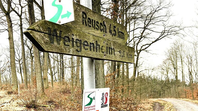 Wer den Steigerwald-Panoramaweg entlangwandert, kommt am Hohenlandsberg vorbei.