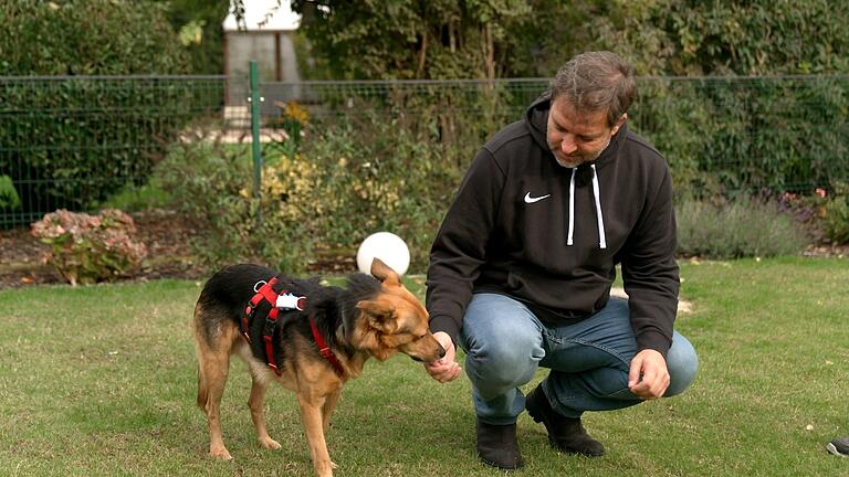 Promi-Hundetrainer Martin Rütter (hier zu sehen mit Snoopy, einem anderen Hund, der in der Serie gezeigt wurde) kommentiert die gezeigten Geschichten aus Sicht eines Experten. Promi-Hundetrainer Martin Rütter (hier zu sehen mit Snoopy, einem anderen Hund, der in der Serie gezeigt wurde) kommentiert die gezeigten Geschichten aus Sicht eines Experten.