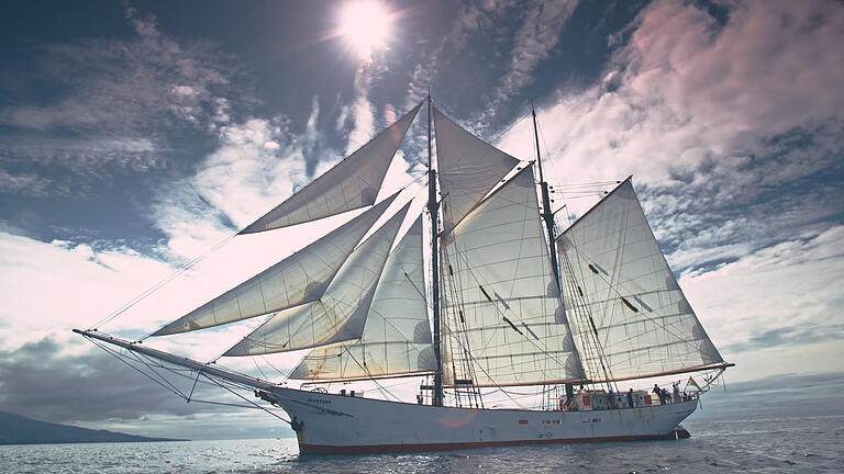 Mit dem Segelschiff 'Avontuur' kommt am 6. Juli Kaffee in Hamburg an, den Haßfurter Waldorfschüler mit dem Fahrrad zur Rösterei nach Schweinfurt bringen.