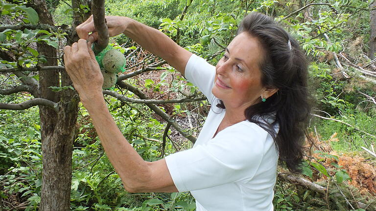 Ursula Schaller aus Homburg hat in Wald und Flur Futterstellen für Vögel eingerichtet und versorgt diese ganzjährig mit Sonnenblumenkernen und Meisenknödeln.