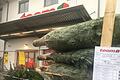Der Heimwerkermarkt Toom in Bad Neustadt darf nur Christbäume verkaufen. Allerdings dürfen Handwerker und Gewerbetreibende mit Gewerbeschein Produkte einkaufen, um ihren Geschäftsbetrieb aufrecht erhalten zu können.&nbsp;