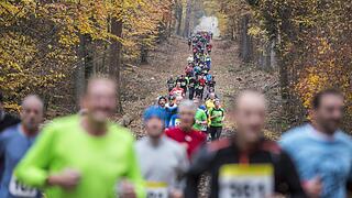 Weit über 900 Teilnehmer waren beim Waldmarathon in Zeil an den Start gegangen.