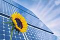 Trendwende? Die Krise wollen die Solar-Manager so schnell wie möglich hinter sich lassen.