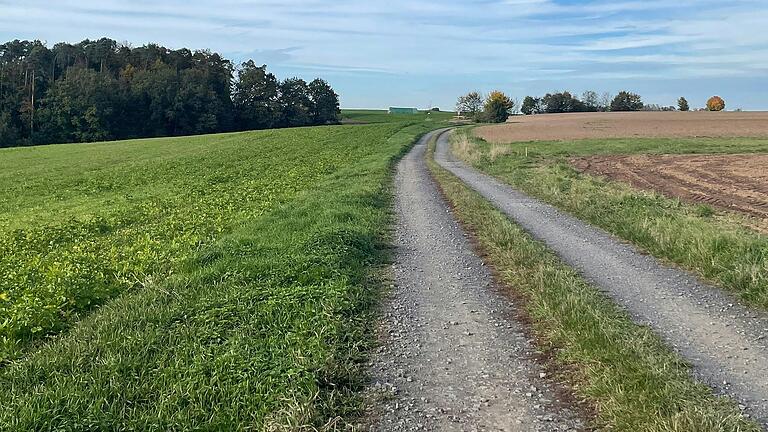 Auf den Flächen links und rechts des bekannten 'Rennweges' vor dem Wäldchen soll die PV-Freiflächenanlage entstehen.