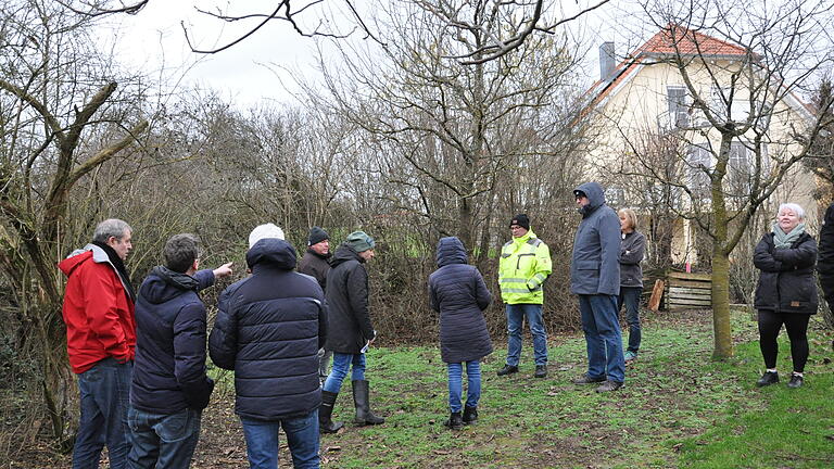 Der Bauausschuss besichtigte am Montag einen zugewachsenen Feldweg am Westrand des Neubaugebiets 'Sauleite' in Obertheres. Der Weg soll eventuell wieder freigelegt werden.