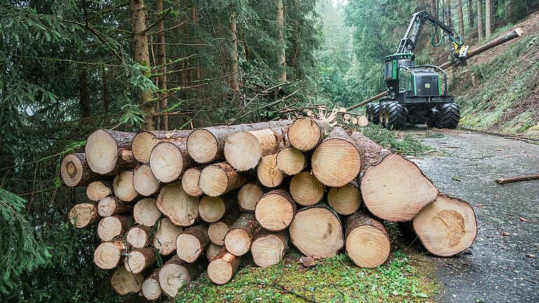 In der Gemeinderatssitzung in Aidhausen zog Revierförster Bernhard Streck jetzt eine Bilanz des diesjährigen Waldjahres.