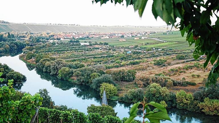 Ein Blick aus den Weinbergen oberhalb von Köhler auf die Au in Nordheim.