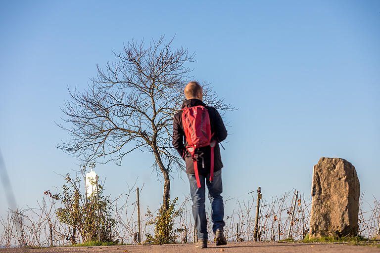 Wandern auf dem knapp vier Kilometer langen Wein-Kunst-Weg in Wiesenbronn (Lkr Kitzingen). Die Tour überrascht mit immer wieder wechselnden Ansichten. Wandern auf dem knapp vier Kilometer langen Wein-Kunst-Weg in Wiesenbronn (Lkr Kitzingen). Die Tour überrascht mit immer wieder wechselnden Ansichten.
