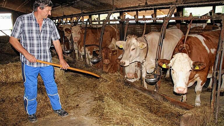 Arbeit: Sieben Tage die Woche, 53 Wochen im Jahr. Als Milchviehhalter ist man ständig im Einsatz. Bei den derzeitigen Preisen machen die Landwirte keinen Gewinn mehr. Arbeit: Sieben Tage die Woche, 53 Wochen im Jahr. Als Milchviehhalter ist man ständig im Einsatz. Bei den derzeitigen Preisen machen die Landwirte keinen Gewinn mehr.