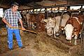 Arbeit: Sieben Tage die Woche, 53 Wochen im Jahr. Als Milchviehhalter ist man ständig im Einsatz. Bei den derzeitigen Preisen machen die Landwirte keinen Gewinn mehr.