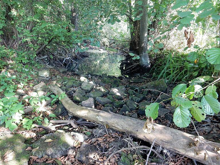 Der im letzten Sommer ausgetrocknete Unkenbach bei Schwebheim