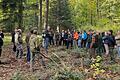 Im Stadtwald setzen Forstbetriebsleiter Michael Neuner und sein Team auf die natürliche Verjüngung der Baumarten. Damit sich ausreichend Jungbäume gesund entwickeln können, ist eine zielgerichtete Schalenwildbejagung mitentscheidend.
