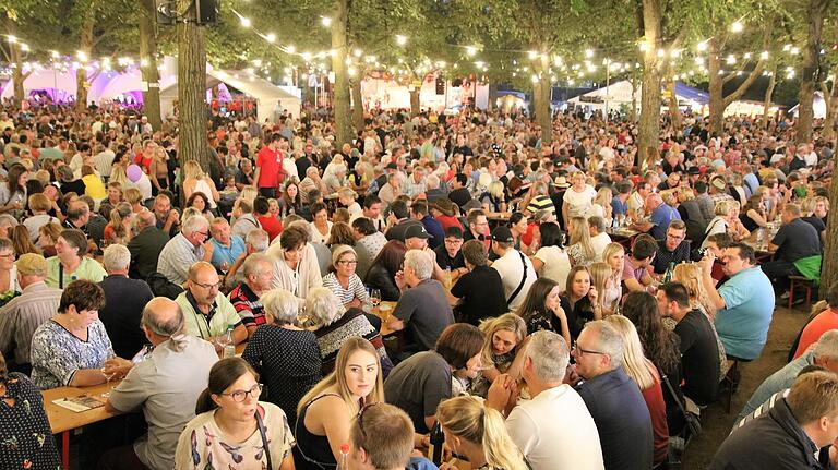 Beim 71. Fränkischen Weinfest in Volkach feierten 2019 die Menschen sechs Tage lang. Beim 71. Fränkischen Weinfest in Volkach feierten 2019 die Menschen sechs Tage lang.