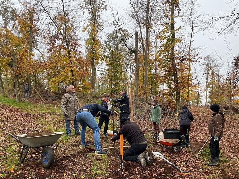Pflanzaktion im Uettinger Wald im November 2024. Pflanzaktion im Uettinger Wald im November 2024.