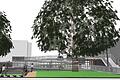 Nicht anfreunden konnte sich der Veitshöchheimer Gemeinderat mit dieser vom Architekturbüro fmp, Schweinfurt, in Abstimmung mit dem Hochbaureferat der Gemeinde ausgearbeiteten Planentwurf einer barrierefreien Rampe für die Mainfrankensäle mit einer Lauflinie von  80 Meter bei einer sechsprozentigen Steigung und Baukosten von 395 000 Euro.