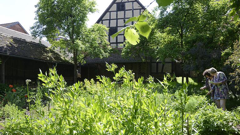 Der Kräutergarten des Kirchenburgmuseums Mönchsondheim. Der Kräutergarten des Kirchenburgmuseums Mönchsondheim.