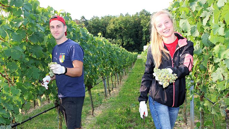Lucas Springer und seine Freundin Madeleine Dittmann sind begeisterte Weinlesehelfer. Sie arbeiten gerne im Weinberg ihrer Familie in Fahr mit. Lucas Springer und seine Freundin Madeleine Dittmann sind begeisterte Weinlesehelfer. Sie arbeiten gerne im Weinberg ihrer Familie in Fahr mit.