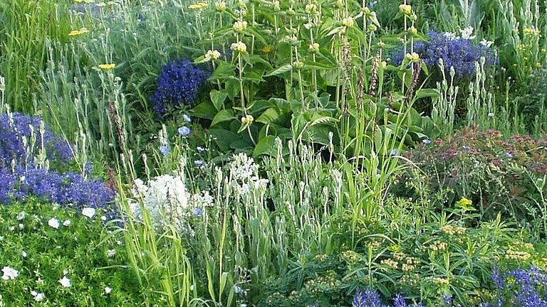 Ein beliebter Klassiker unter den vorgefertigten Staudenmischungen ist der Silbersommer, der auch bei der Landesanstalt für Wein- und Gartenbau in Veitshöchheim erhältlich ist.