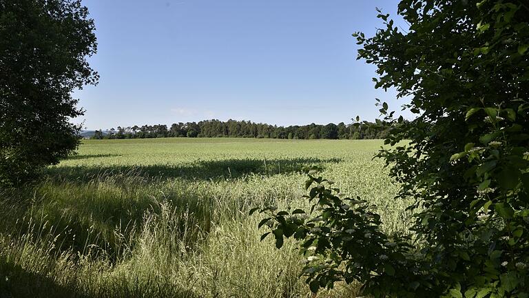 Auf dem 'Rasiger Wegacker' in der Nähe des Schafhofes bei Königsberg soll ein Solarpark errichtet werden. Auf dem 'Rasiger Wegacker' in der Nähe des Schafhofes bei Königsberg soll ein Solarpark errichtet werden. 