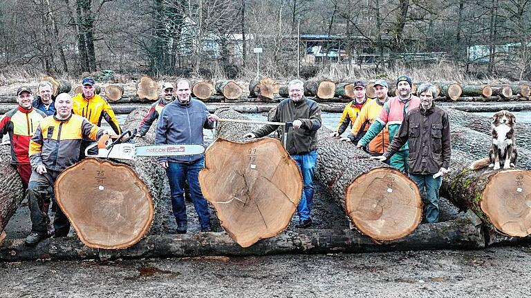 Stolz präsentieren Bürgermeister Robert Herold, Betriebsleiter Peter Kreyssig, Revierleiter Andreas Ranzau und die Forstarbeiter die Prachtstämme für die Eichensubmission.