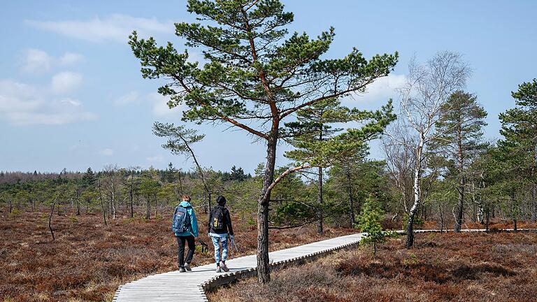 In der Rhön (im Bild das Schwarze Moor bei Fladungen) bleiben die Gäste bayernweit am längsten. In der Rhön (im Bild das Schwarze Moor bei Fladungen) bleiben die Gäste bayernweit am längsten. 