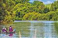 Freizeit an Main und Saale: Wasserwandern ist eines der Potenziale, die der Tourismusverband Franken weiterentwickeln will &ndash; hier ein Blick auf den Altmain bei Sommerach.