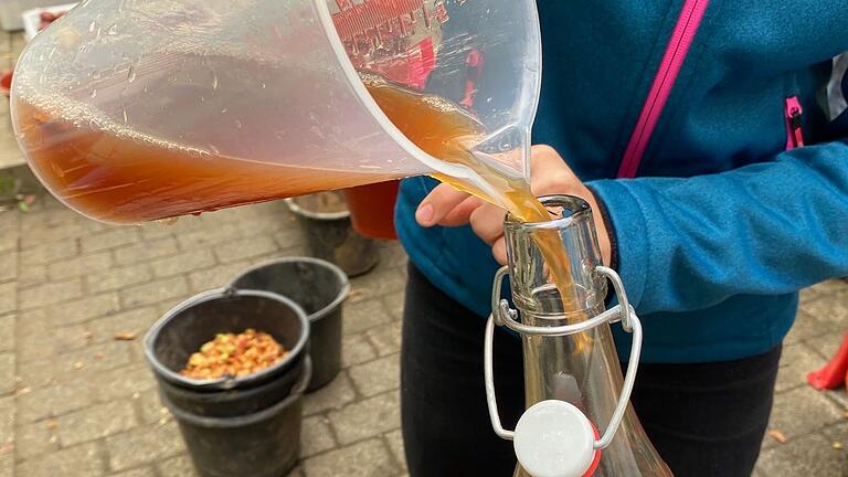 Saftaktion der Schulgartengruppe: Der Lohn der Arbeit ist leckerer Saft aus Äpfeln von der Streuobstwiese. Saftaktion der Schulgartengruppe: Der Lohn der Arbeit ist leckerer Saft aus Äpfeln von der Streuobstwiese. 