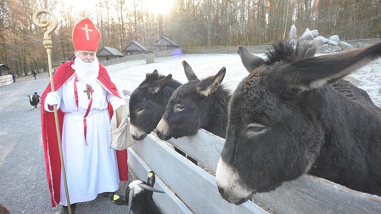 Wer den Nikolaus treffen will, findet ihn an diesem Sonntag nachmittags in Bad Kissingen: beim Tierefüttern im Wildpark Klaushof. Wer den Nikolaus treffen will, findet ihn an diesem Sonntag nachmittags in Bad Kissingen: beim Tierefüttern im Wildpark Klaushof.