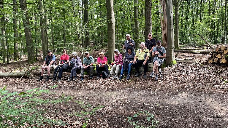 Rast im Wald. Rast im Wald.