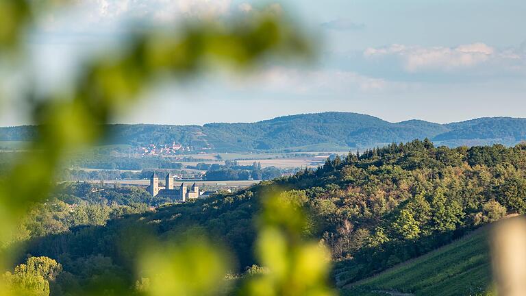 Unterwegs auf dem knapp 4 Kilometer langen Meditationspfad 'Bibel, Wein und Weisheiten' in Neuses am Berg bei Dettelbach (Lkr. Kitzingen): Selbst die Abtei Münsterschwarzach kann man während der Tour sehen.