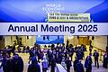 Weltwirtschaftsforum in Davos       -  Zwei Aktivisten von Greenpeace schafften es kurz vor der Eröffnung ins Tagungszentrum des Weltwirtschaftsforums.
