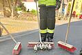 Mit Geleitschutz von drei Feuerwehrmännern wurden die Enten-Babys in ihr natürliches Terrain zurück begleitet. Die Tiere hatten sich im Altort von Greßthal orientierungslos aufgehalten.