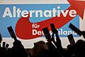 AfD.jpeg       -  Laut einer Umfrage halten 57 Prozent die AfD für 'rechtsextrem'.