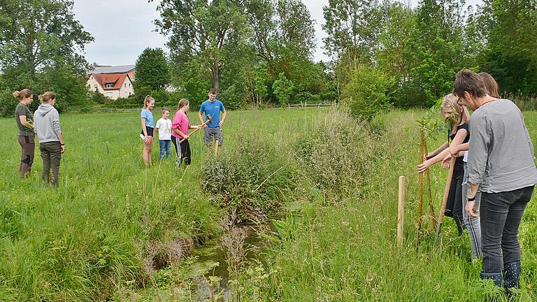 Gut eine Stunde waren die Kinder und Jugendlichen am Wochenende am Breitenbach, einem Zulauf der Fränkischen Saale aktiv, um Zweige der Kopfweide in die Erde zu bringen. Gut eine Stunde waren die Kinder und Jugendlichen am Wochenende am Breitenbach, einem Zulauf der Fränkischen Saale aktiv, um Zweige der Kopfweide in die Erde zu bringen.