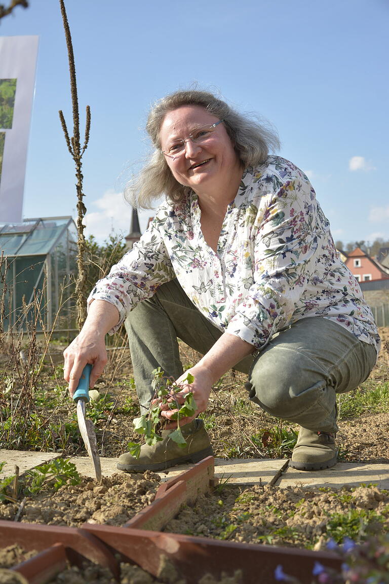 Sigute Wosch pflegt mit Leidenschaft das Greußenheimer Wildkräuterbeet.