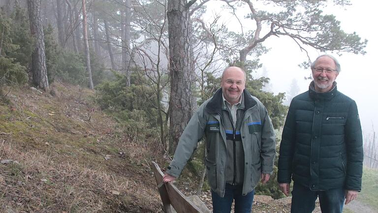 Bernhard Zürner vom Amt für Ernährung, Landwirtschaft und Forsten Bad Neustadt und der Euerdorfer Bürgermeister Peter Bergel begutachten eines der vielen kleinen privaten Waldgrundstücke oberhalb von Wirmsthal.       -  Bernhard Zürner vom Amt für Ernährung, Landwirtschaft und Forsten Bad Neustadt und der Euerdorfer Bürgermeister Peter Bergel begutachten eines der vielen kleinen privaten Waldgrundstücke oberhalb von Wirmsthal.