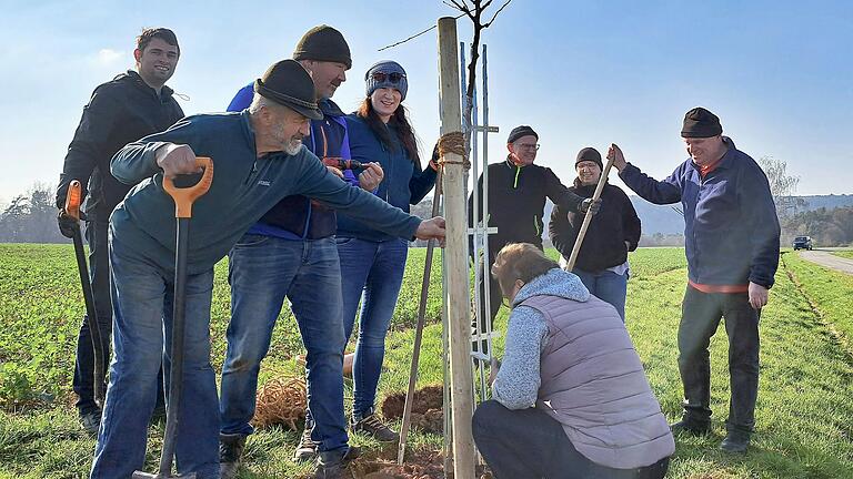 Bürgermeister und Bürgermeisterin der Stadt Rothenfels packten neben weiteren Freiwilligen bei den Pflanzungen mit an.