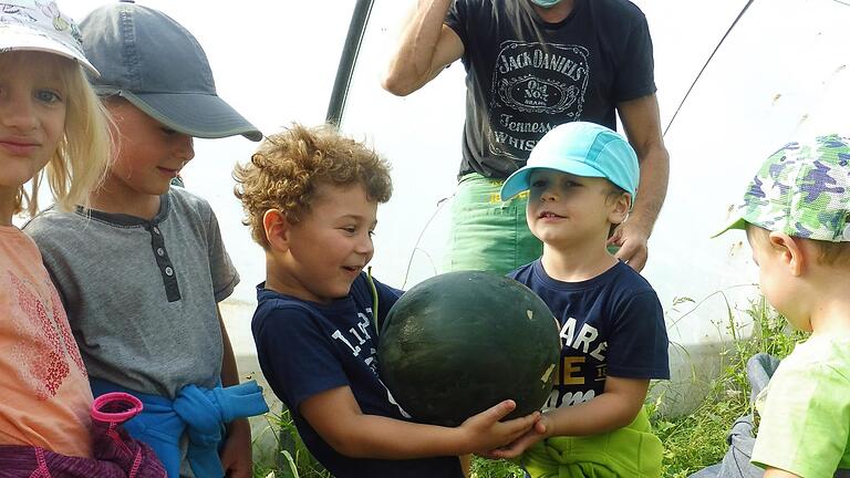 Eine riesige Wassermelone erhielten die Kinder zum Verzehr.