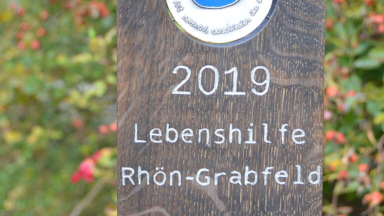 Der "Lebenshilfe Award". Die Holzskulptur wurde von Johanna Helle geschaffen. Der "Lebenshilfe Award". Die Holzskulptur wurde von Johanna Helle geschaffen.