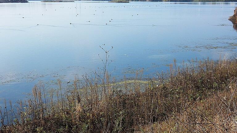 Teilweise verfüllt wird die derzeitige große Wasserfläche zwischen &bdquo;Baggersee&ldquo; und &bdquo;Maintal&ldquo;.