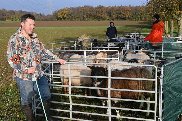 Pascal Stühler und zwei Helfer sortieren für die Prüfungen die Schafe und Heidschnucken im Pferch. Pascal Stühler und zwei Helfer sortieren für die Prüfungen die Schafe und Heidschnucken im Pferch.