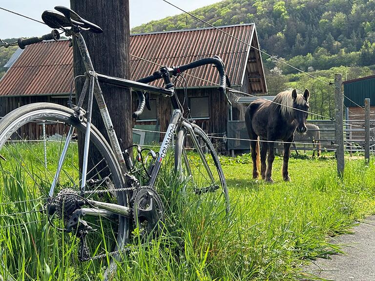 Am Ortseingang von Untererthal (Lkr. Bad Kissingen) grast ein Pferd auf einer Koppel. Wer wohl mehr PS hat? Am Ortseingang von Untererthal (Lkr. Bad Kissingen) grast ein Pferd auf einer Koppel. Wer wohl mehr PS hat?