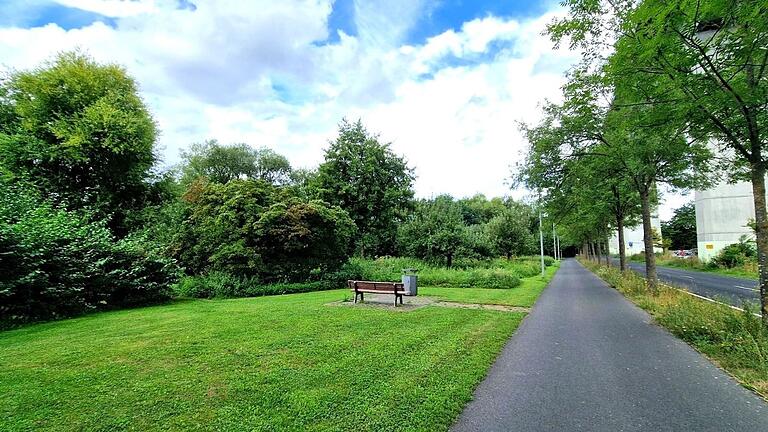 Auf der Fläche links vom Radweg ist vor der Sitzbank mit einer Breite von 15 Metern ein Rollhockey/Basketball-Feld vorgesehen, das sich 28 Meter lang nach links bis zum Feldweg am Mainufer erstreckt. Nach der Sitzbank schließt sich in 12 Meter Breite auf einer Länge von 30 Metern der Skate-Platz an. Auf der Fläche links vom Radweg ist vor der Sitzbank mit einer Breite von 15 Metern ein Rollhockey/Basketball-Feld vorgesehen, das sich 28 Meter lang nach links bis zum Feldweg am Mainufer erstreckt. Nach der Sitzbank schließt sich in 12 Meter Breite auf einer Länge von 30 Metern der Skate-Platz an.