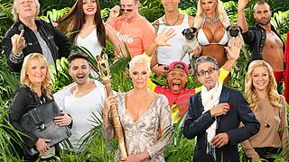 Die Dschungelcamp-Kandidaten 2016

oben v.l.: Sänger Gunter Gabriel (73), Topmodel Nathalie Volk (19), Ballermann-Star Jürgen Milski (52), Ex-Fußball-Profi Thorsten Legat (47), It-Girl Sophia Wollersheim (28), Reality-Star David Ortega (30). unten v.l.: TV-Coach Helena Fürst (41), DSDS-Legende Menderes (31), Hollywood-Star Brigitte Nielsen (52), Moderator Ricky Harris (53), Schauspieler Rolf Zacher (74), Schauspielerin Jenny Elvers (43).

 Alle Infos zu 'Ich bin ein Star - Holt mich hier raus!' im Special bei RTL.de:  www.rtl.de/cms/sendungen/ich-bin-ein-star.html