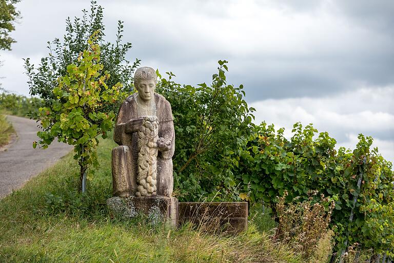 Abt Alberich Degen, in Zeil geboren, brachte die Silvaner-Rebe Mitte des 17. Jahrhunderts nach Franken. Die Zeiler Bürger haben ihm in den Weinbergen ein Denkmal gesetzt. Abt Alberich Degen, in Zeil geboren, brachte die Silvaner-Rebe Mitte des 17. Jahrhunderts nach Franken. Die Zeiler Bürger haben ihm in den Weinbergen ein Denkmal gesetzt. 
